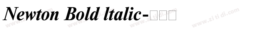 Newton Bold ltalic字体转换